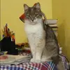 Отзыв от Людмила Бессонова